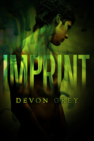 Imprint (ebook)