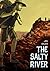 The Salty River by Jan Bauer
