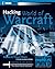 Hacking World of Warcraft by James Whitehead II