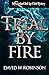 Trial by Fire (Sanford Third Age Club Mystery #14)