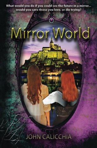 Mirror World (Paperback)
