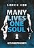 Many Lives One Soul by Santosh Joshi