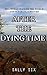 After the Dying Time