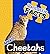 Fantastic Facts About Cheet...