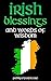 IRISH BLESSINGS: Irish Words of Wisdom For Saint Patrick's Day (Irish Books by Paddy O'Furniture: Funny Irish Books)
