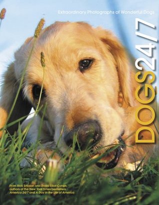 Dogs 24/7: Extraordinary Photographs of Wonderful Dogs (Hardcover)
