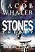 Stones: Theory (Stones #4)