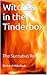 Witches in the Tinderbox: The Succubus Realm