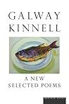 A New Selected Poems