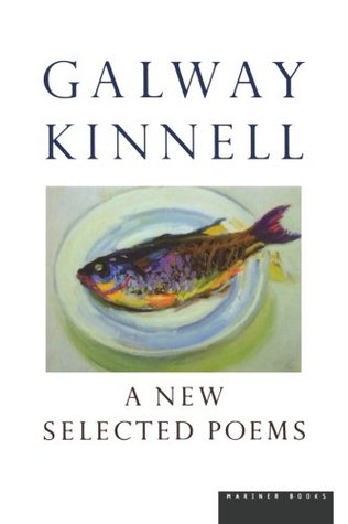 A New Selected Poems (Paperback)