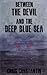 Between the Devil and the Deep Blue Sea: Short Stories of the Uncanny and the Unexplained