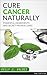 Cancer - Cure Cancer Naturally: Powerful Ingredients and Secret Proven Cures (Secret Cures, Secret Treatments, Alternative Cures, Alternative Treatments, ... Recovery, Holistic Treatment Book 1)