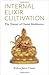 Internal Elixir Meditation by Robert James Coons
