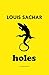Holes
