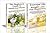 Essential Oils Box Set #35: Essential Oils & Weight Loss for Beginners & The Beginners Guide to Medicinal Plants