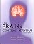 The Brain and Central Nervous System (Your Body, Your Health)
