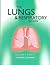 The Lungs and Respiratory System (Your Body, Your Health Series)