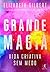 Grande Magia: Vida Criativa sem Medo