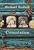 Consolation: A Novel