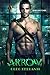 Arrow : A heroic future forged by a tortured past