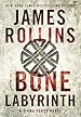 Image for The Bone Labyrinth