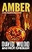 Amber (Dane Maddock Origins...