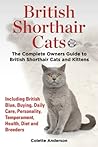 British Shorthair...