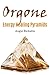 Orgone Energy Healing Pyramids