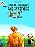 Chacha Chaudhary Sky Divers