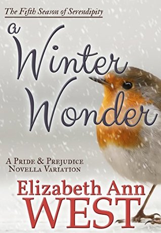 A Winter Wonder (Seasons of Serendipity, #5)