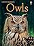 Owls: For tablet devices: For tablet devices (Usborne Beginners)