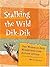 Stalking the Wild Dik-Dik: ...