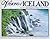 Visions of Iceland: Scenes and Surprises from Land and Sea