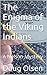 The Enigma of the Viking Indians (Nelson Mysteries #4)