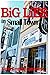 Big Lies in Small Town by Karen Kennedy Samoranos