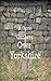 A Storm Gathers Over Yorkshire (The Chronicles of Holmethorpe Book 1)