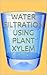 Water Filtration Using Plant Xylem
