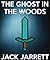 Pixel Stories: The Ghost In The Woods (Book #4)