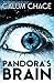 Pandora's Brain
