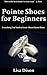 Pointe Shoes for Beginners: Everything You Need to Know About Pointe Shoes