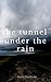 The Tunnel Under the Rain (Savannah Rain Series Book 1)