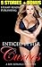 Romance: Enticed by her BBW Curves, a BBW Romance Collection (Brats,Taboo,BDSM,Forbidden)