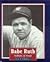 Babe Ruth by Lois P. Nicholson