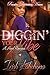 Diggin' Your Vibe: A Hood Romance (Diggin' Your Vibe, #1)