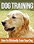 Dog Training for New Owners...