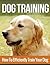 Dog Training for New Owners by Henry Lee