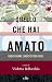 Quello che hai amato: Undic...