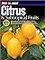 All About Citrus and Subtro...