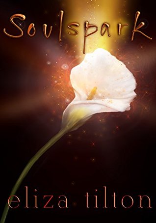 Soulspark