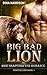 Big Bad Lion (Fighter Lion Book 1)